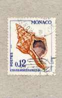 MONACO : Coquillage : Fasciolaria Trapezium- Gastéropode - Mollusque - - Used Stamps