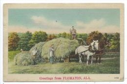 GREETINGS FROM FLOMATON -Alabama -Etats Unis -Charette Chevaux, Récolte Des Foins -Animée - Autres & Non Classés