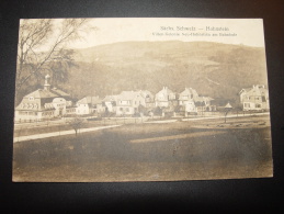 HOHNSTEIN VILLEN - KOLONIE NEU HOHNSTEIN AM BAHNHOF Nach DRESDEN - Hohnstein (Sächs. Schweiz)