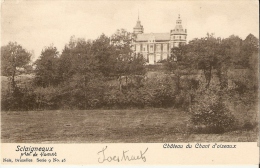 Sclaigneaux Chateau Du Chant D'oiseaux Verso Cachet Chateau Grandmetz (hainaut) - Andenne