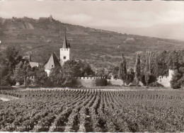 C1960 INGELHEIM - BURGKIRCHE - Ingelheim