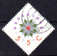 NETHERLANDS 1992 Christmas - 55c Poinsettia (centre Of Flower Red)   FU - Gebruikt