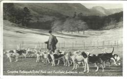 Coniston Faxhounds, Rrydal Park And Fairfiel , Ambleside - Ambleside
