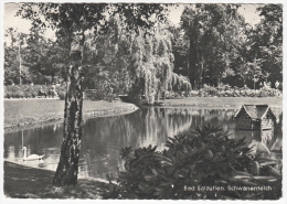 C1960 BAD SALZUFLEN SCHWANENTEICH - Bad Salzuflen