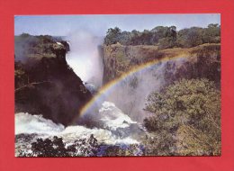 Rhodésie - Victoria  Falls - Main Gorge - Devil's Cataract - Zimbabwe - Zimbabwe