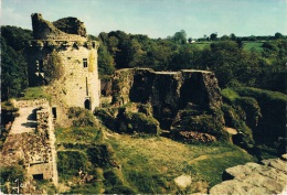 Ruines Du Château De TONQUEDEC Démantelé Sur L´ordre De Richelieu, Les Ruines Imposantes Se Dressent Sur La Vallée - Tonquédec