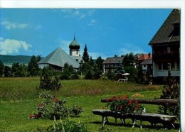 D402 - HINTERZARTEN - Hochschwarzwald - Hinterzarten