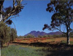 (987) Australia -  SA - Elder Range - Flinders Ranges