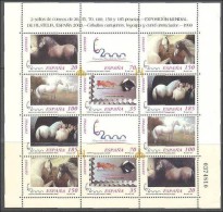 ESPAÑA 1999** -CABALLOS CARTUJANOS- MNH - Blocks & Sheetlets & Panes