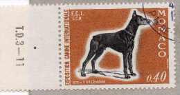 MONACO : Chien : Dobermann - Canidés - Mammifère - Exposition Internationale De Monte-Carlo - - Used Stamps