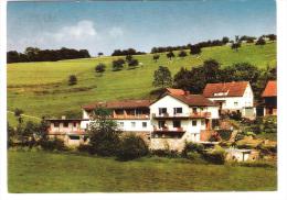 Deutschland - Falken Gesäss - Odenwald - Gästehaus Horus - Odenwald