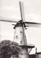 DEERLIJK : Molen Van Declercq (1898) - Deerlijk