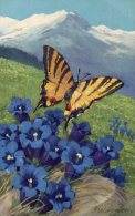 Illustrée Signée A. WAGNER : Papillon, Gentianes Dans Les Alpes - Insetti