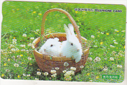 South Korea Old Phonecard - Rabbits - 10000 W - Conejos