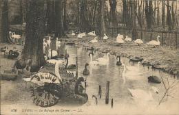 LYON (69) Parc De La Tête D'Or - Le Refuge Des Cygnes (blanc, Noir)  - Voyagé 1922 Les Laumes (21)  - LL 472 - Lyon 6