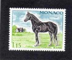 MONACO : Chevaux De Sang : Cheval Barbe - Equidés - Mammifères - - Cartas & Documentos