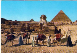 Egypt Giza ... XF276 - Guiza