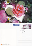 Norway Postal Stationery Ganzsache Entier Postkort 1-2 Porto Betalt Taxe Percue Valentines Day 2004 (2 Scans) - Postwaardestukken