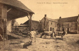 SAINT ILLIERS LE BOIS (78) Ferme De M Allorges Vaches - Other & Unclassified