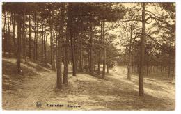 "Kasterlee / Casterlee - Boschweg" - Kasterlee