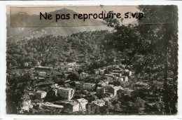 - VIVARIO - ( Corse ), Vue Générale, Peu Courante, Petit Format, Non écrite, TBE, Scans. - Sonstige & Ohne Zuordnung