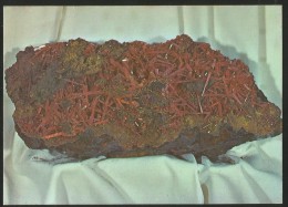 TASMANIA Australia CROCOITE Mineral Dundas West Coast Queenstown - Andere & Zonder Classificatie