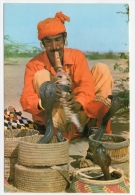 Postcard - Pakistan, Snake Charmer     (V 20928) - Pakistan