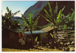 Postcard - Reunion      (V 20950) - Réunion