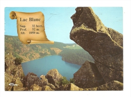 Cp, 68, Orbey, Lac Blanc, Sur La Route Des Crêtes, Voyagée 1986 - Orbey