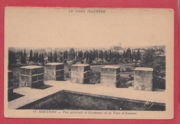 Delcampe - MIELAN --> Vue Générale Et Créneaux De La Tour D´Astarac - Mirande