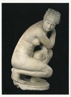 (19023) Postcard -  Ancient Rome - Marble Status Of  Naked Aphrodite Crouching - Non Classificati