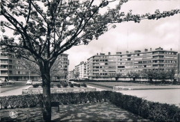 Etterbeek  Place Du Roi  Vainqueir - Etterbeek