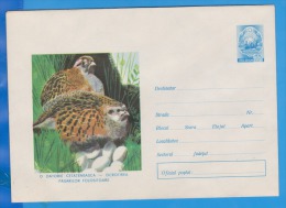 BIRD, BIRDS, ROMANIA  Postal Stationery - Légumes