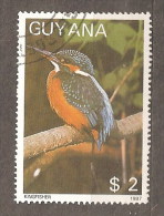 GUYANA 1987 KINGFISHER $2 - Specht- & Bartvögel