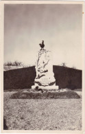 CPSM - REBAIS (77) - Le Monument (avec Un Coq) - 1954 - Rebais