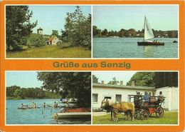 AK Königs Wusterhausen OT Senzig Mehrbild-Farbfoto 1987 DDR #2021 - Koenigs-Wusterhausen