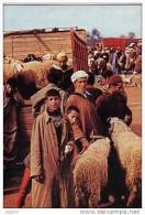 Marrakech - Souk De Marrakech - Vendeurs De Moutons - Marrakech