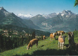 Suiza--1977--Villars S/Ollon Et Le Dents Du Midi- - Ollon