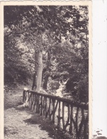 HAMOIR-SUR-OURTHE : Un Coin Sur Le Néblon - Hamoir