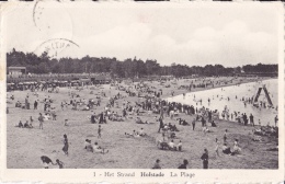 HOFSTADE : Het Strand - Zemst