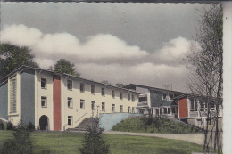 4934 BAD MEINBERG, HORN, DJH Jugendherberge, 196... - Bad Meinberg