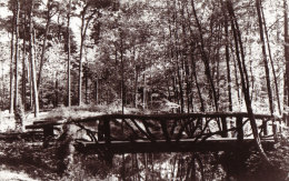 Heidetuin - Driebergen – Rijsenburg