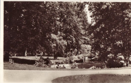 Kerk En Wereld Park Met Ijver Van De Horst - Driebergen – Rijsenburg