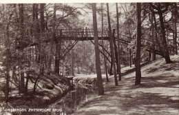 Zwitsersche Brug - Driebergen – Rijsenburg