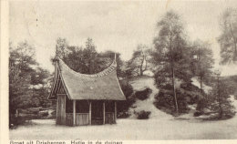 Hutje In De Duinen - Driebergen – Rijsenburg