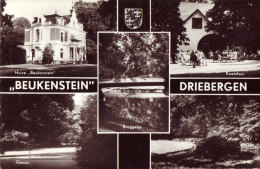 Beukenstein - Driebergen – Rijsenburg