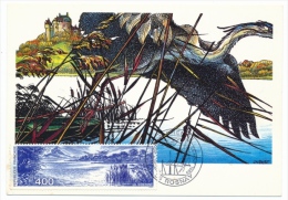 FRANCE -  Carte Maximum - La Brenne - Rosnay - 1989 - 1980-1989