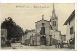 Carte Postale Ancienne Montluel - L´Eglise Notre Dame - Métiers, Maréchal Ferrant - Montluel