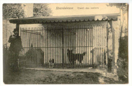 E3182 -  XHENDELESSE  -  Chenil Des Rochers - Herve