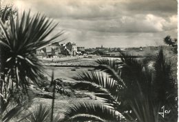 CPSM 29 ILE DE BATZ LE PORT ET A L HORIZON ROSCOFF 1956  Grand Format 15 X 10,5 - Ile-de-Batz